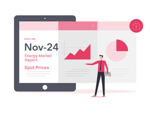 Nov-24 Spot Market Report