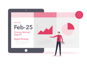 Feb-25 Spot Market Report